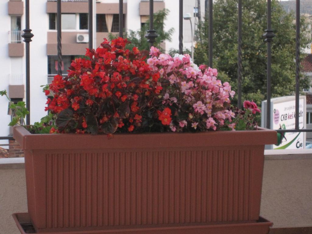 Apartments City Center Тиват Екстериор снимка